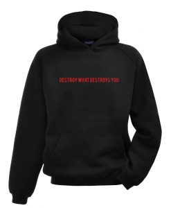 Destroy What Destroys You Hoodie