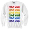 Love Wins Sweatshirt