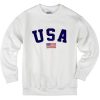 USA Flag Sweatshirt