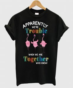 Apparently We’re Trouble When We Are Together Who Knew T Shirt