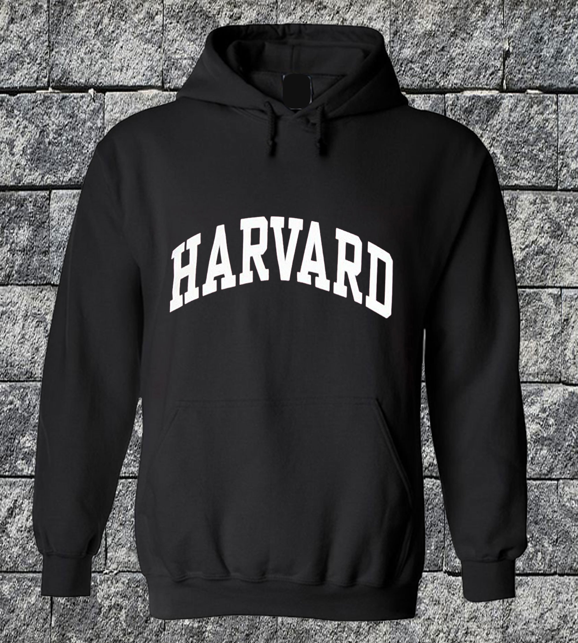 Harvard Logo Hoodie